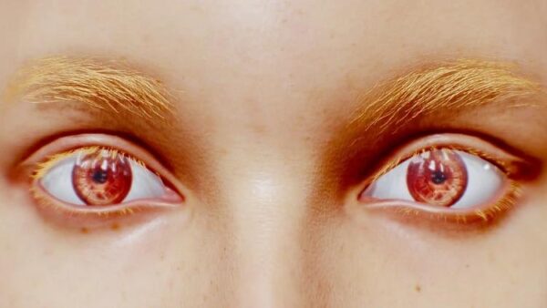 Creating Realistic Eyes In Blender: Rigged and Animated