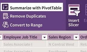 Excel: PivotTables in Depth (2024)
