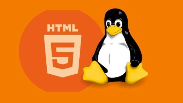 Extended Frontend Web Development Course - Level 1