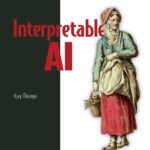 Interpretable AI, Video Edition