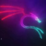 Kali Linux Essentials Training
