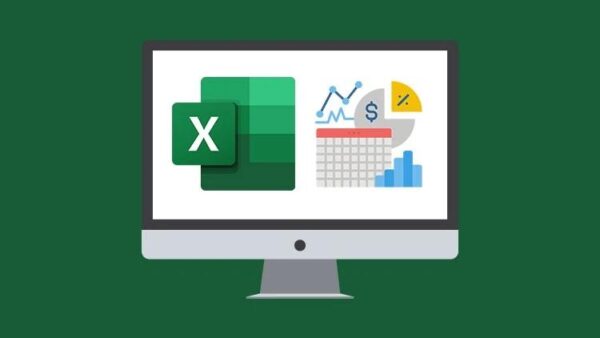 Microsoft Excel 365 Advanced (2024)