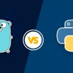Only For Genius: Golang Vs Python For Absolute Beginners 01