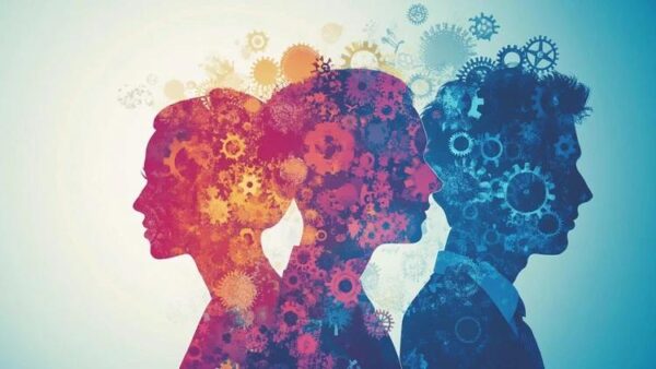 Organizational Theory, Design, and Change