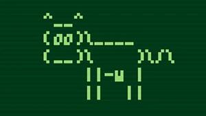 Pikuma - Master the Linux Command-Line & Bash Scripting