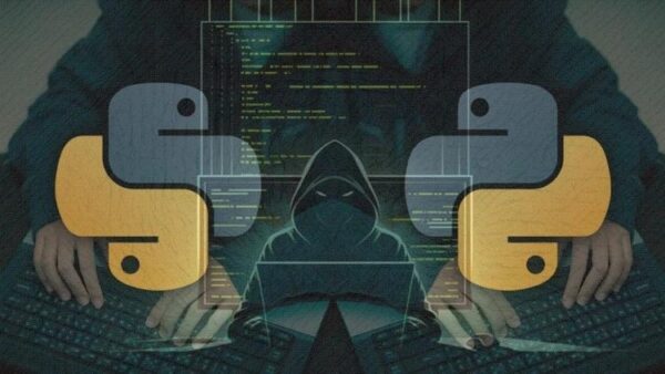 Python Ethical Hacking Pentest for Hackers Scripting Basics
