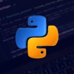 Python For Beginners: Master the Essential Basics of Python