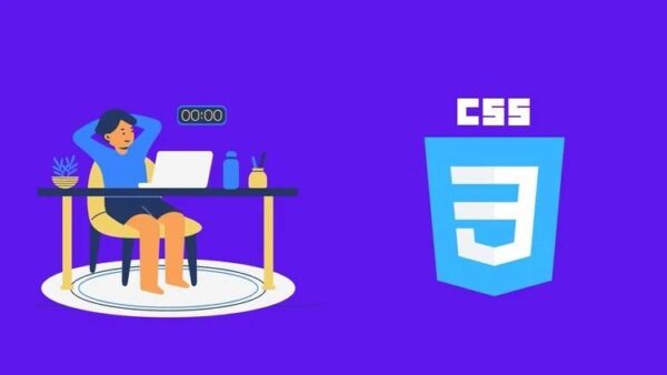 Responsive Websites HTML CSS FlexboX Grid Sass AnimatIons